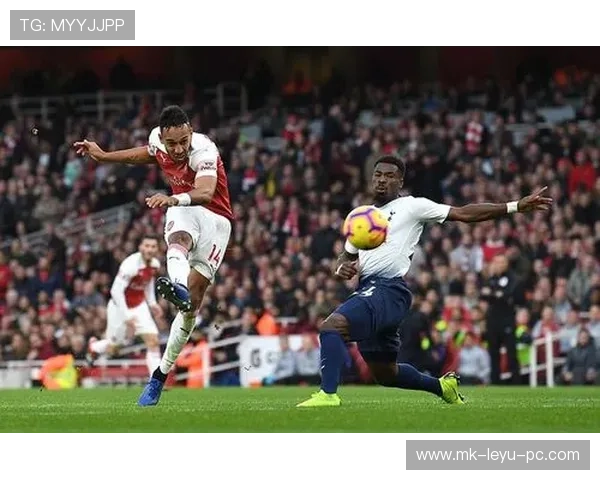 凯恩与奥巴梅扬进球效率对比：数据与终结方式解析