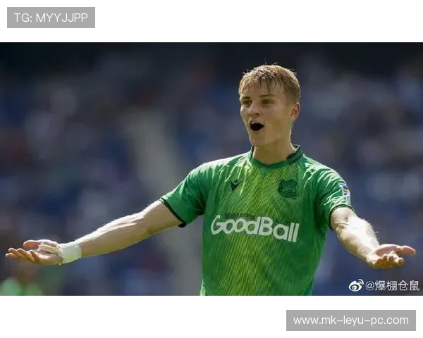 厄德高：天才兑现了吗？成长轨迹与核心贡献解析