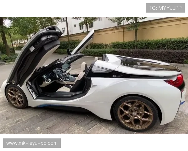 阿萨尔森训练完顺手买了辆超跑，说是为了省油？